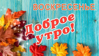 Доброго воскресного утра ☕🧇 Хорошего солнечного выходного дня 🌞🤗 то... |  TikTok