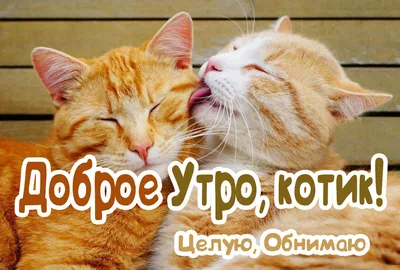 Картинка - Доброе зимнее утро! Просыпайся!.