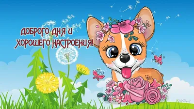 Красивые картинки \"Хорошего дня и отличного настроения!\" (280 шт.)