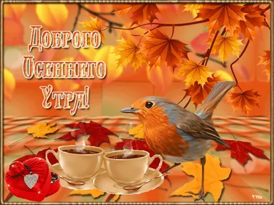 Добрые пожелания 💞 Открытки | 🍁 Доброго осеннего утра ☕ Чудесного хорошего  дня 👍💯🍂💕 | Дзен