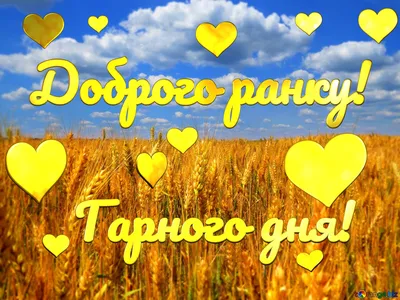 Доброго ранку 😉 Гарного дня ☕️ - Від Тарнополя до Тернополя | Facebook