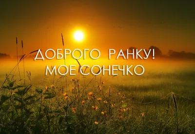 Доброго ранку - коханому або коханій - Листівка Доброго ранку. Завантажити  на телефон