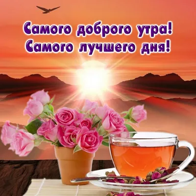 Доброе утро красивые картинки мотивация кофе море и цветы | Картины  пейзажа, Пейзажи, Доброе утро
