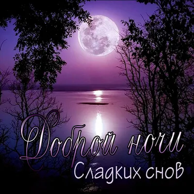 Картинки Мужчине спокойной ночи🌙 скачать бесплатно