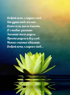 Открытки с пожеланием Доброй ночи - Волшебных снов - скачать (75 шт.)