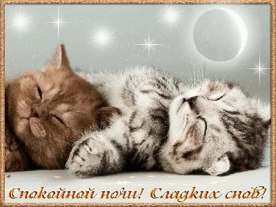 Зимние картинки \"Спокойной ночи!\" (183 шт.)