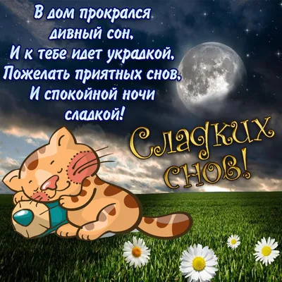 спокойной ночи жене от души｜Búsqueda de TikTok