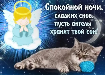 Спокойной ночи картинки - как пожелать сладких снов — УНИАН