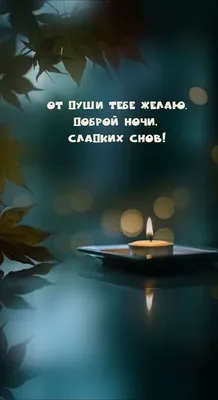 Картинки \"Спокойной ночи!\" (2829 шт.)
