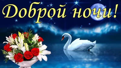 Спокойной ночи: позитивные картинки с пожеланиями доброй ночи | Joy-Pup -  всё самое интересное! | Дзен