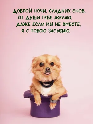 😃 Доброй ночи, сладких снов открытки, картинки, пожелания бесплатно