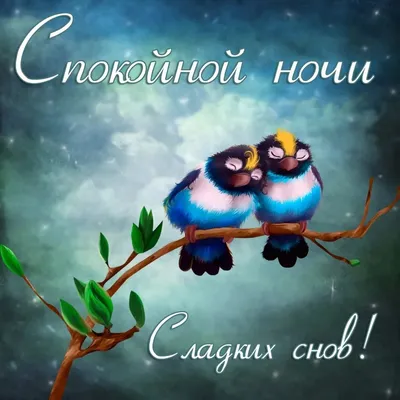 Харьков ШУТИТ \" И в шутку, и в серьез\"» - Спокойной ночи. Сладких снов. |  Facebook