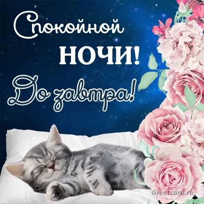 Картинка - Доброй ночи, сладких снов. От души тебе желаю..