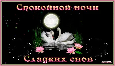 Пожелания спокойной ночи ― красивые слова для сладких снов