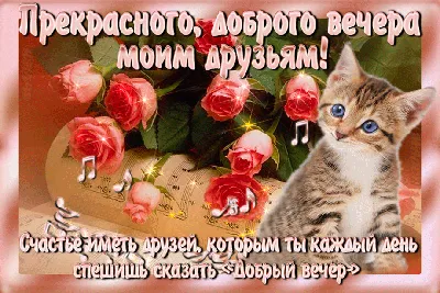 Открытка добрый вечер друзья мои с розой - поздравляйте бесплатно на  otkritochka.net