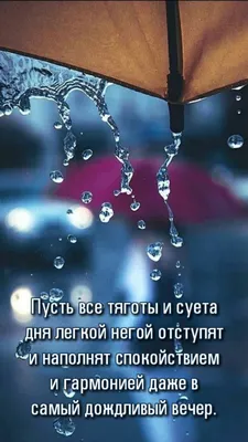 Желаю Доброго Вечера! Очень Красивая Музыкальная Видео Открытка! Пожелания  Прекрасного Вечера! - YouTube