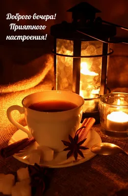 Картинка добрый вечер с розами и чашкой кофе