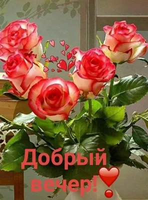 Красивые открытки с надписями \"Добрый вечер\" (45 фото) | Семена цветов,  Красные цветочные композиции, Красные розы