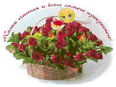 Пин от пользователя Oara Voila на доске ruskie | Радужные розы, Розы,  Рождественские поздравления