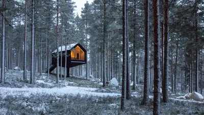 Уникальные домики на деревьях Woodnest парят в норвежском лесу »  BigPicture.ru