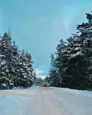 Зима, дорога, снег, деревья. | Пейзажи, Фоновые рисунки, Зимние картинки