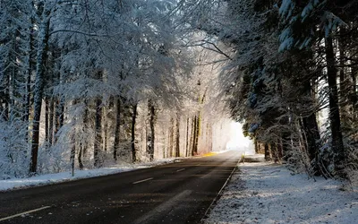 Ледяная \"Кола\": как выглядит главная дорога русского севера зимой и почему  я больше не поеду в Мурманск на машине в это время года? | Путешествия и  всего по чуть-чуть | Дзен