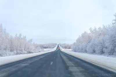 Ледяная \"Кола\": как выглядит главная дорога русского севера зимой и почему  я больше не поеду в Мурманск на машине в это время года? | Путешествия и  всего по чуть-чуть | Дзен