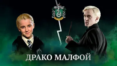 Ростовая фигура Драко Малфой (Draco Malfoy) вид 3 (679x1800 мм) - купить по  выгодной цене | Магазин шаблонов Принт100