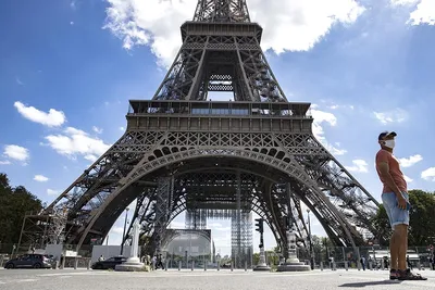 Деревья Эйфелевой башни и осени в Париже, Франции Стоковое Изображение -  изображение насчитывающей романтично, историческо: 155005383