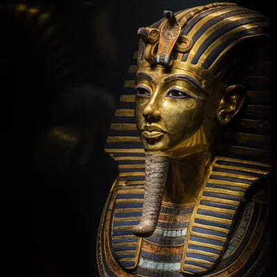Найден саркофаг фараона Тутанхамона - Знаменательное событие