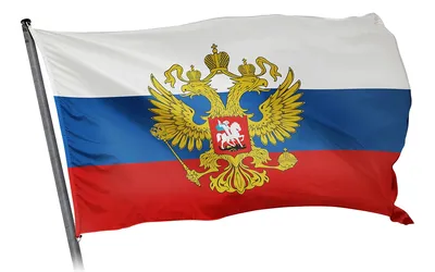 Картинки Флаг И Герб России фотографии