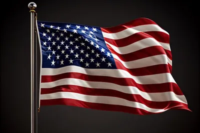 Купить флаг Боевое знамя Конфедерации США
