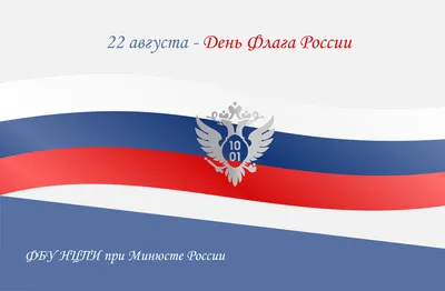 22 августа: День Государственного флага России — читать в интернет-издании  Synergy Times