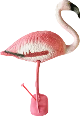Картина «Розовый фламинго» 60х80 — Я. Повышева. Холст, масло. Копия на  заказ | Белая Стрекоза - Part 1