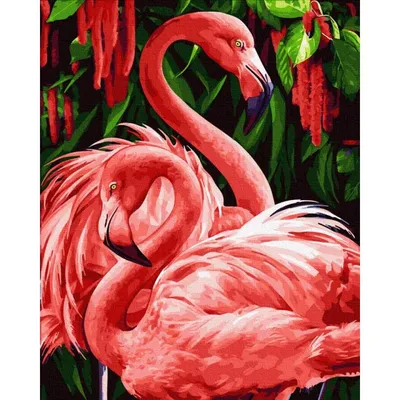 Картинки фламинго для срисовки | Фламинго, Рисунки, Рисование