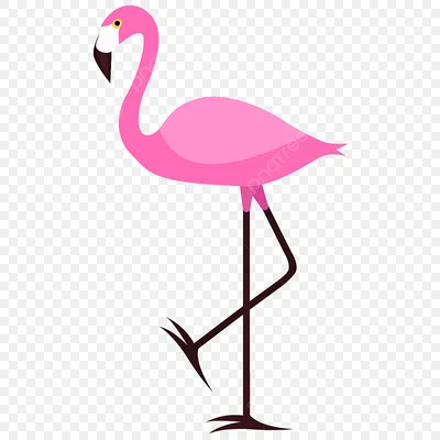 Розовые фламинго в заповеднике Камарг