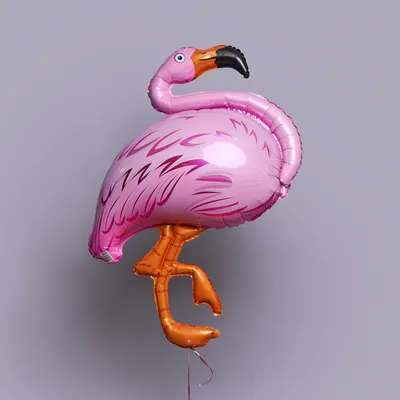 Интересные факты о фламинго. А вы знали, что у фламинго в паре равноправие?  | Faunazoo.ru | Дзен