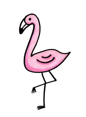 Летняя птица розовый фламинго PNG , лето, Фламинго, птица PNG картинки и  пнг рисунок для бесплатной загрузки