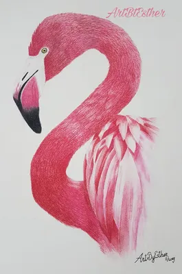 Картина на холсте Розовый фламинго 40х50 см по цене 321 ₽/шт. купить в  Москве в интернет-магазине Леруа Мерлен