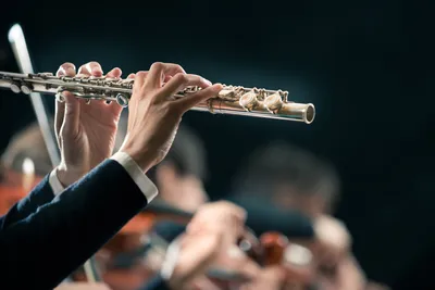 Уроки флейты в Петербурге | Обучаем флейте с нуля до профи