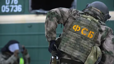 Купить толстовку подразделения “ФСБ РОССИИ” (вышивка)