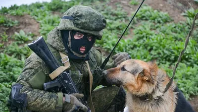 ФСБ России обвинила украинские спецслужбы в поджогах военкоматов и объектов  РЖД