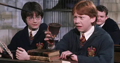 Гарри Поттер в Hogwarts Legacy, где найти, почему его нет — персонажи  Хогвартс Легаси — Escorenews