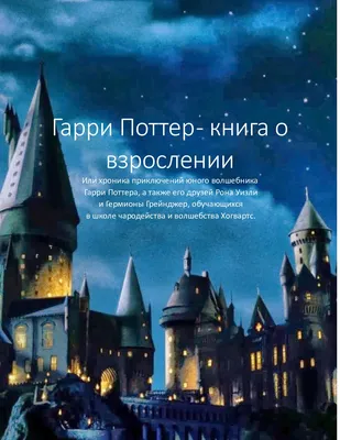Набор монет Персонажи мира Гарри Поттера в альбоме 24 монеты Россия |  AliExpress