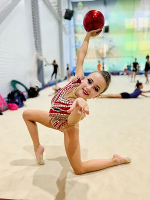 Звездочки» стали лучшими гимнастками | Наукоград-Пресс