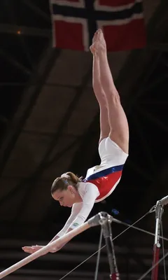 Грация и изящество волгодонских гимнасток поразили жюри Всероссийских  соревнований