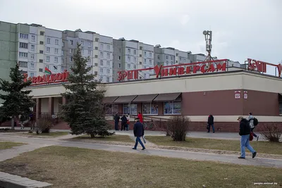 Экс-комментатор Василий Уткин прилетел в Волгоград, который он назвал  «город гопников»