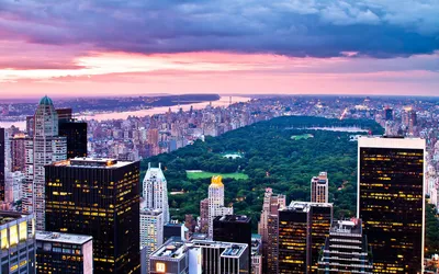 Нью-Йорк утратил статус города с наибольшим числом мультимиллионеров — РБК