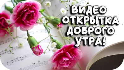 Картинки и открытки \"С Добрым утром любимая\" (1731 шт.)