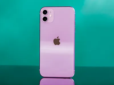 Apple iPhone 11 Review, 3 Months Later: Why It's My Favorite iPhone